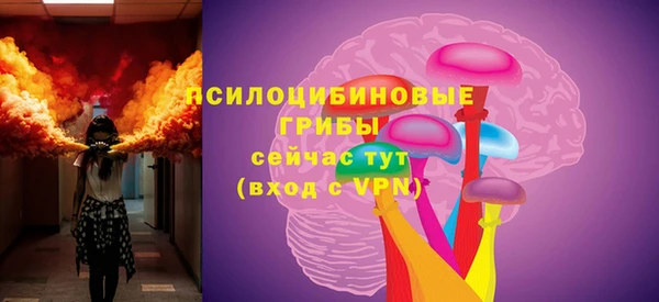 ГАЛЛЮЦИНОГЕННЫЕ ГРИБЫ Алексин
