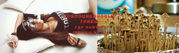 мет Алексеевка