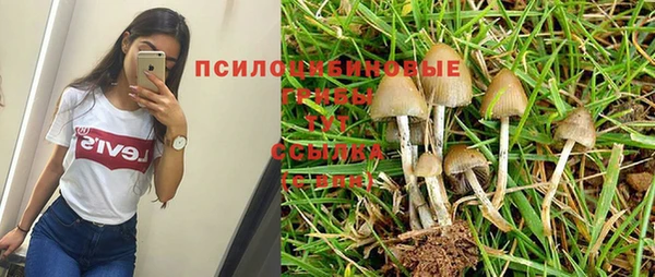 ГАЛЛЮЦИНОГЕННЫЕ ГРИБЫ Алексин