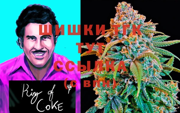 ГАЛЛЮЦИНОГЕННЫЕ ГРИБЫ Алексин